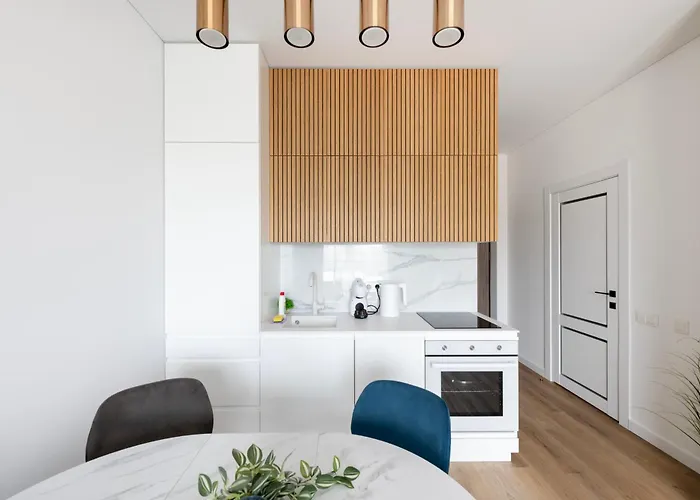 In The Center Of Apartman Vilnius